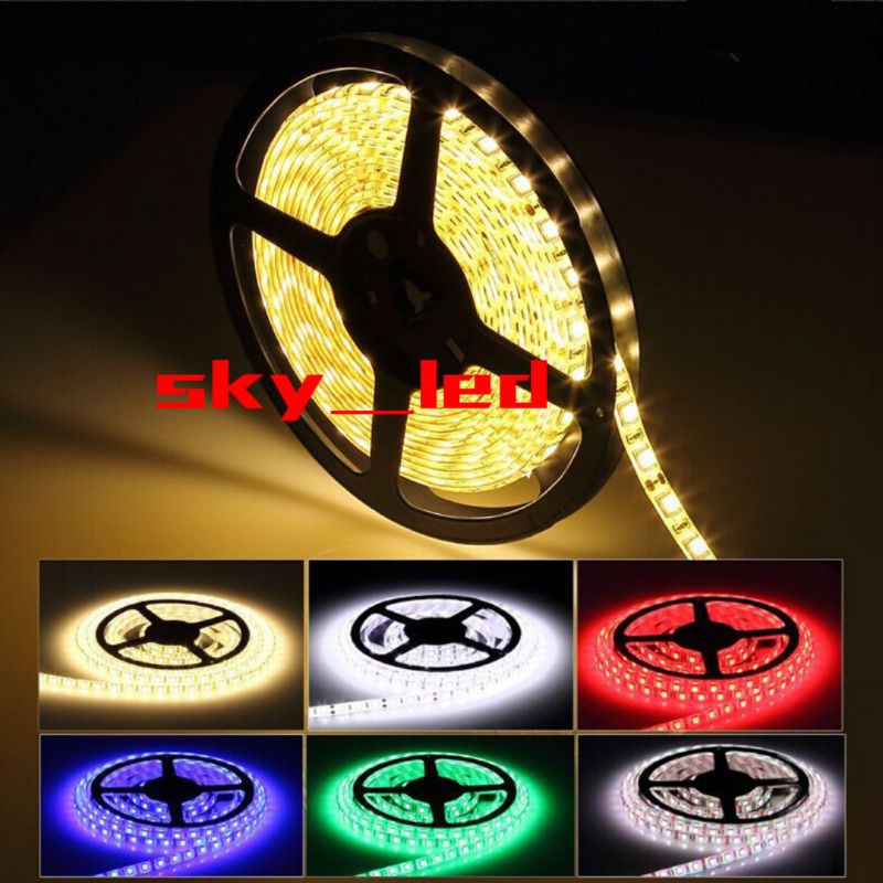 Lampu LED Strip 5050 5m 12v Mata Besar SMD  IP44 Warna 12V 5m