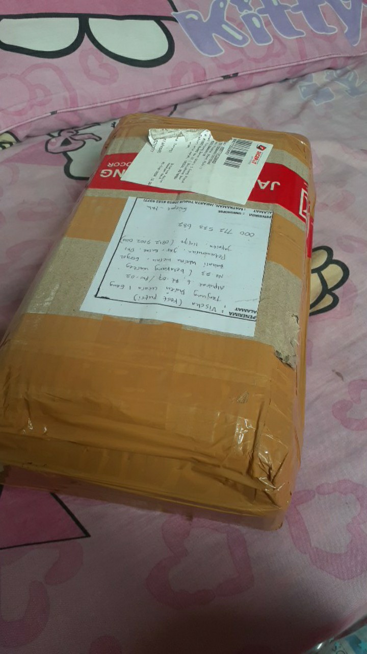 Gantungan Lucu Kapstok Tempel Serbaguna