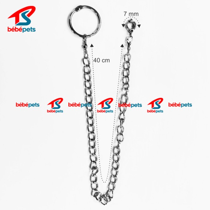RANTAI BURUNG NURI RING BORGOL IMPORT 7 MM RANTAI PUTER PELUNG DERKUKU