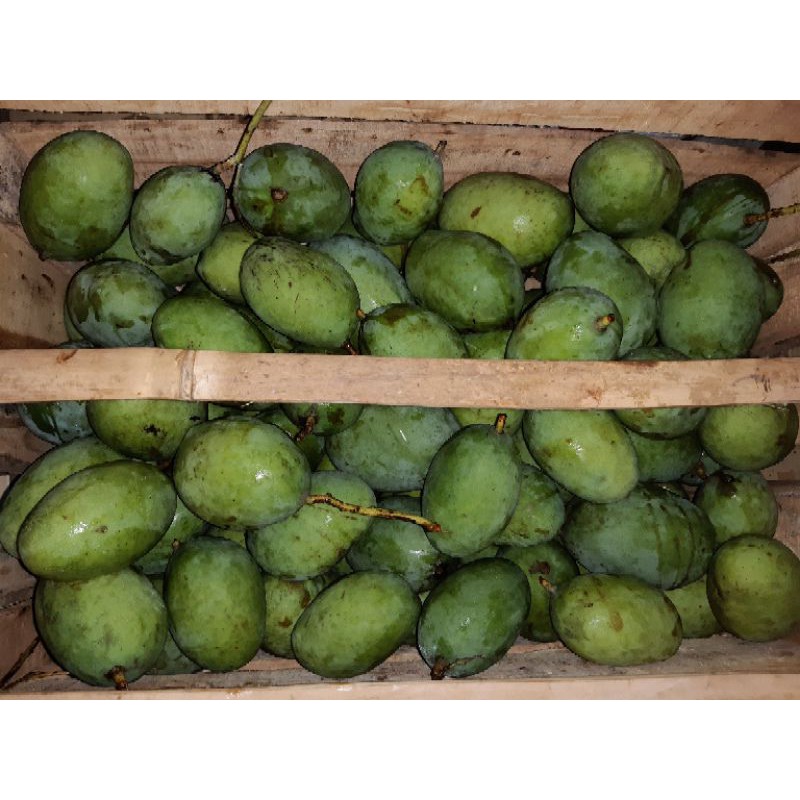 

Mangga Kweni Grade 1Kg 28.900