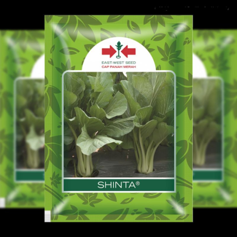 250 Benih Sawi Caisim Shinta
