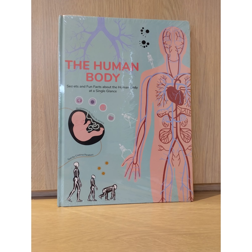 Human Body: Secrets and Fun Facts About the Human Body