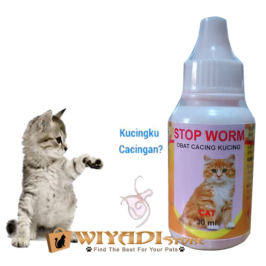 Stop Worm Obat Cacingan Aman Kucing Dan Kitten