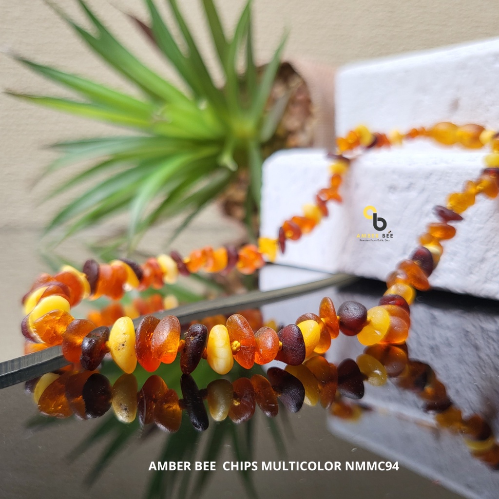 Kalung Amber 100% Baltic Premium Matte Multicolor Chips By Amber Bee NMMC94