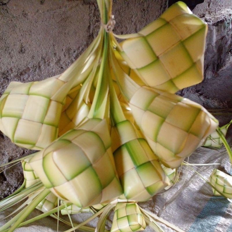 

cangkang ketupat 1ikat isi 10