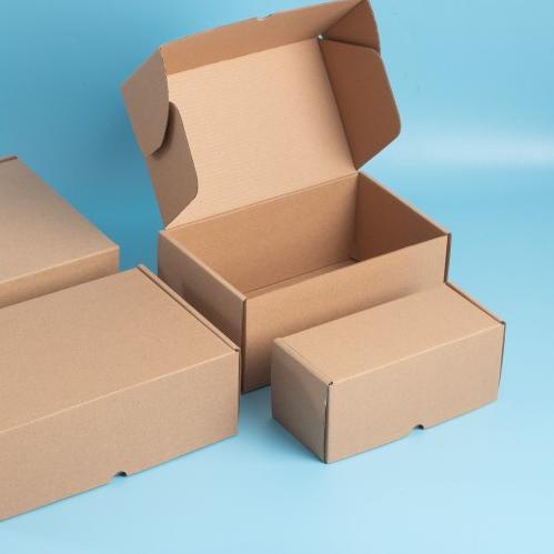 

➹ [Digipack] Brown Corrugated Box ID: 22 x 12 x 5 | Kotak | Kardus ✸