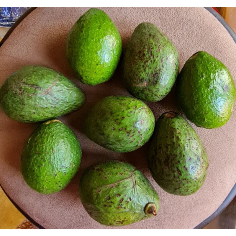 

miniavocado