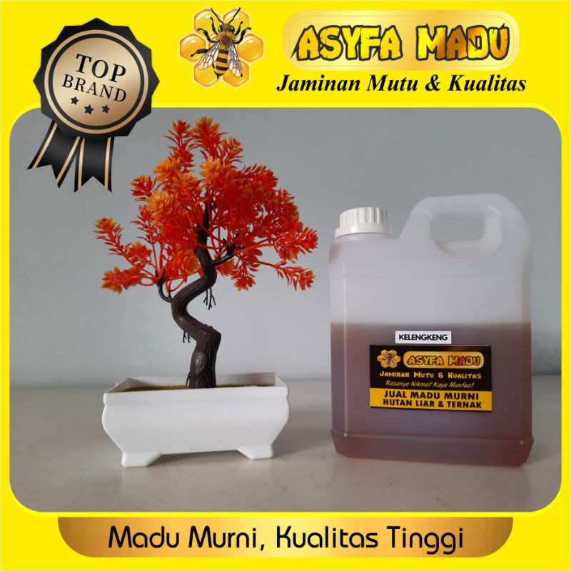 

madu murni kelengkeng Apis Mellifera kemasan 1 kg