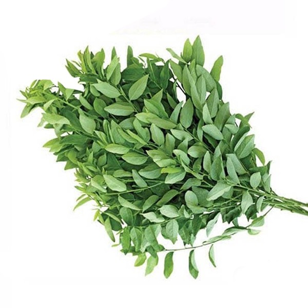 

Daun Katuk per ikat - Niawan Mart