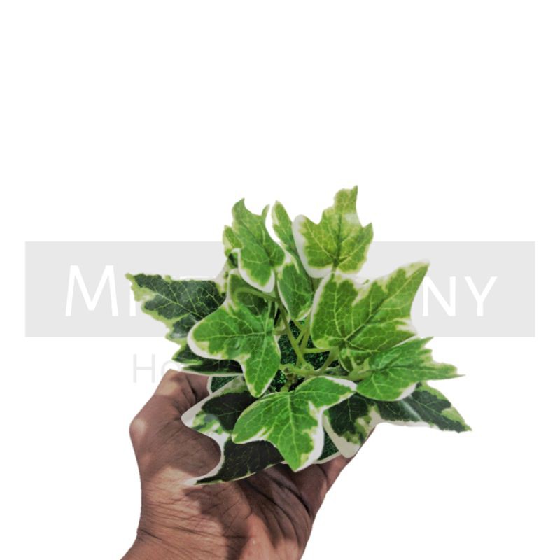 TANAMAN BUNGA ARTIFICIAL BUNGA HIAS DEKORASI HIASAN RUMAH BUNGA PLASTIK MURAH BUNGA AGLONEMA MINI-8