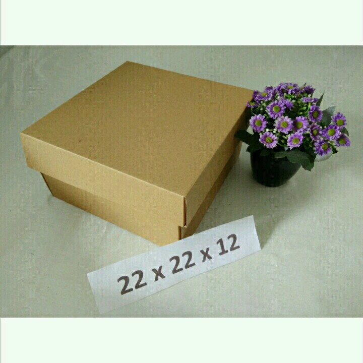 

[Minimimal Order 10pcs] 22x22x12 CM KARTON BOX / KOTAK / KARDUS PACKAGING KUE