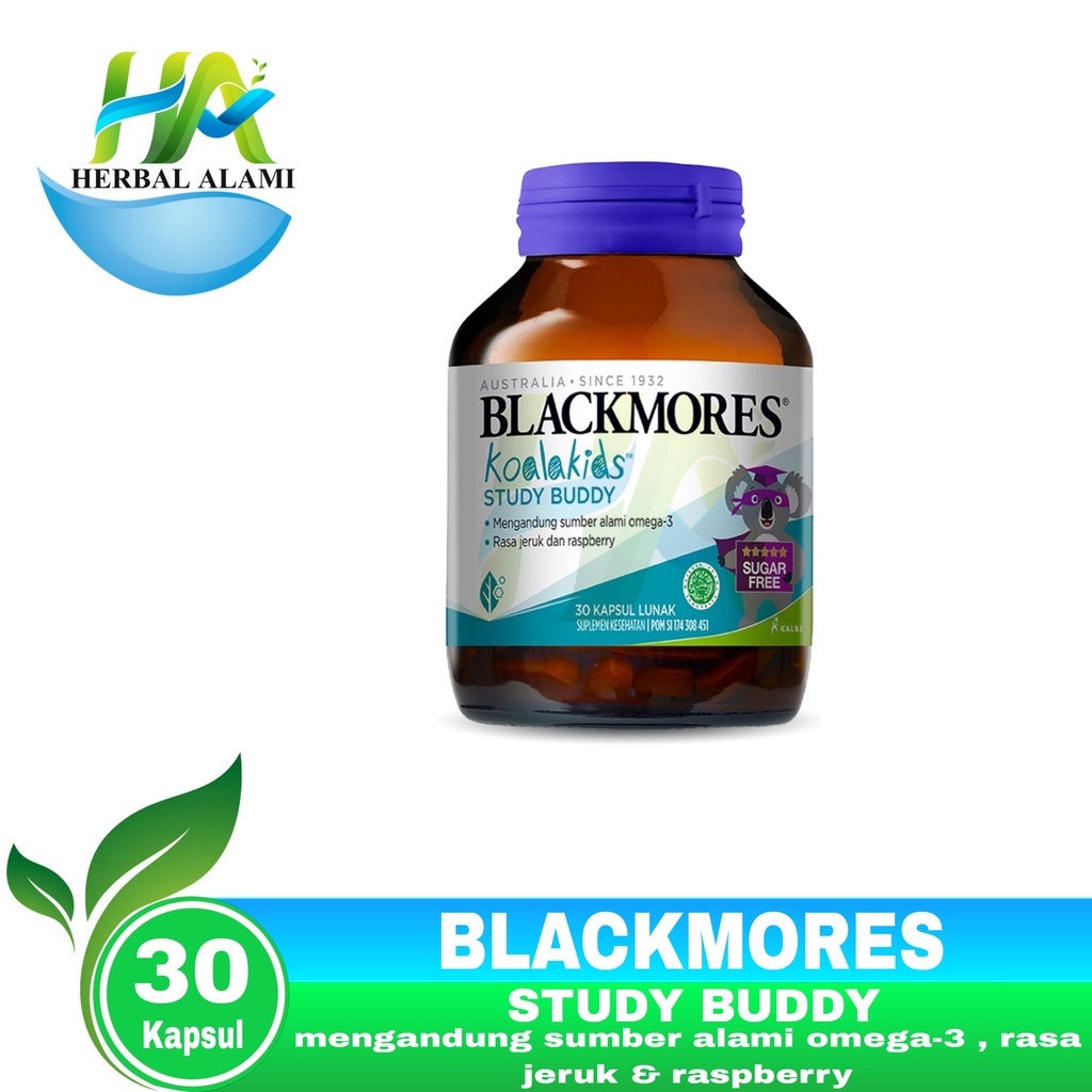 Blackmores Koala Kida Study Buddy / Kids Fruity Fishies