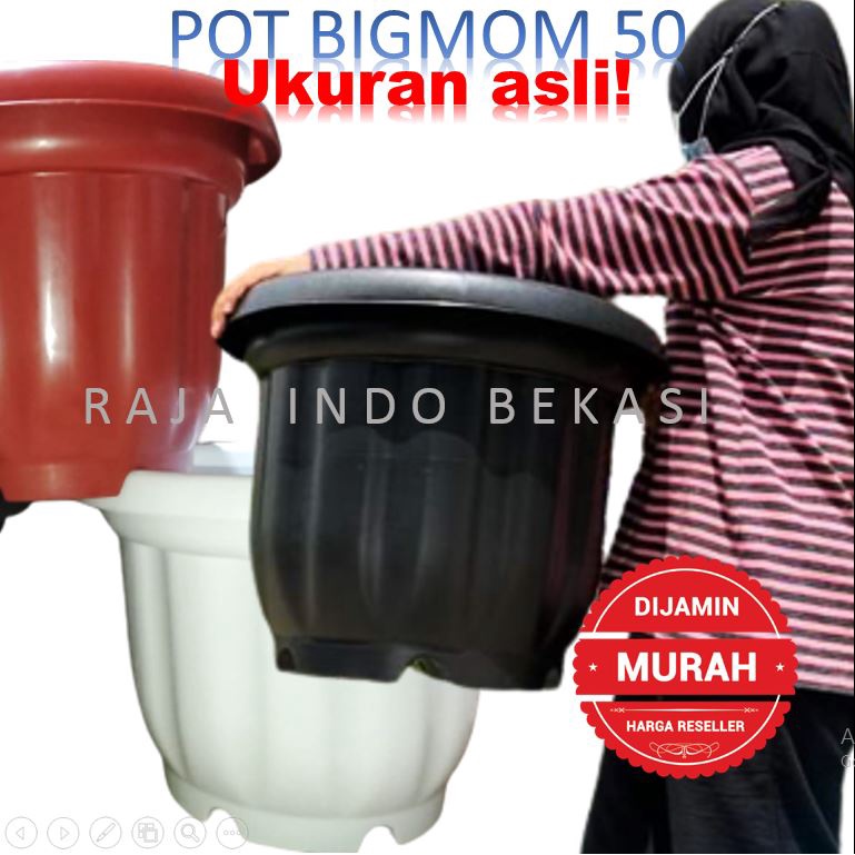 TEBAL &amp; MURAH Pot Kuat 50 55 Putih - Pot Besar Jumbo Murah 50cm 60cm Pot Besar Plastik Bahan Tebal - Pot Bunga Jumbo Putih Murah Grosir