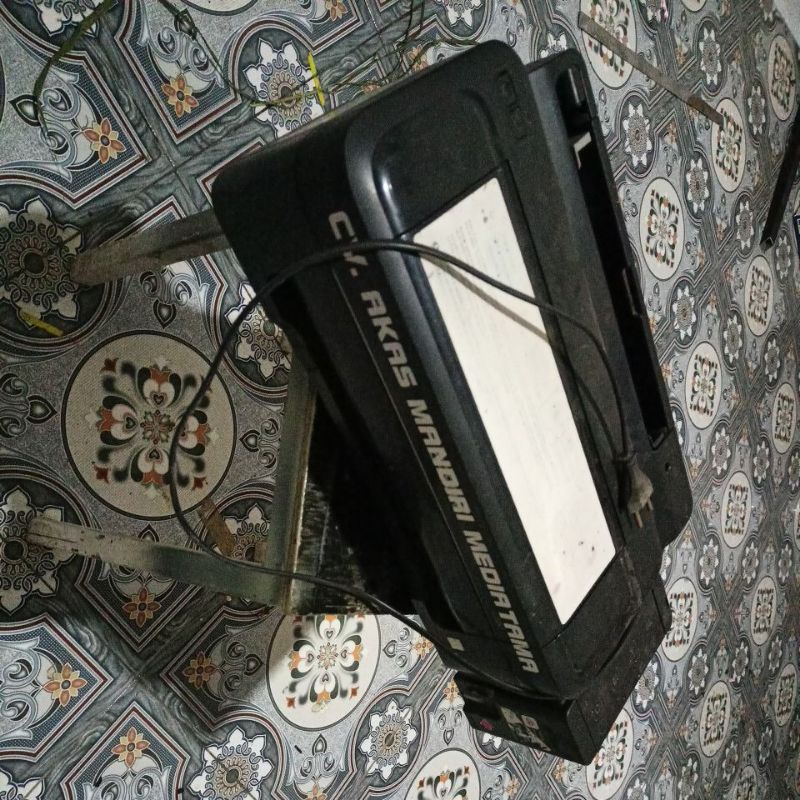 Epson L300