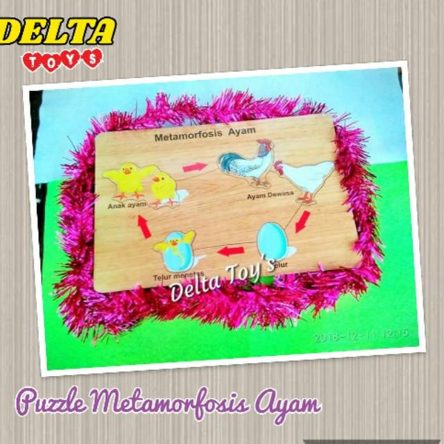 APE / MAINAN EDUKASI -PUZZLE KAYU METAMORFOSIS, MAINAN PAUD / TK , MAINAN EDUKATIF / ANAK TK/ APE