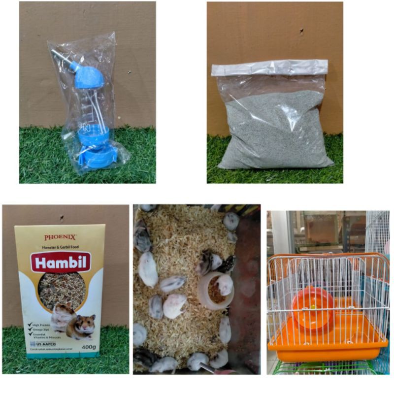

paket hamster winter white