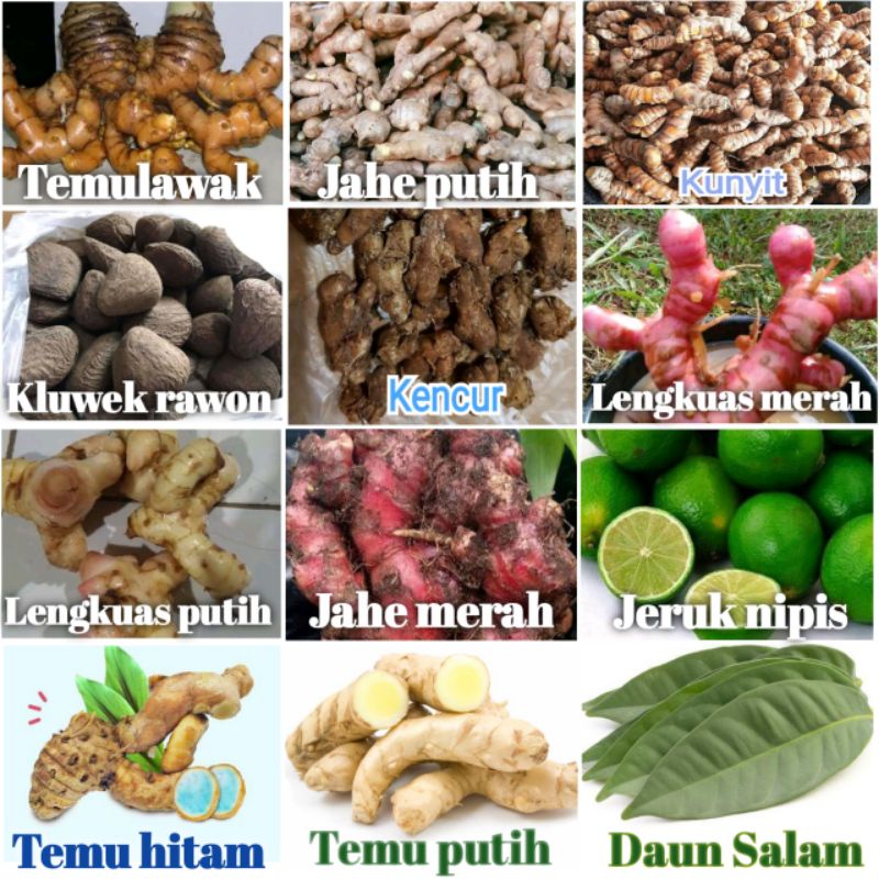 

all varian bumbu masak | herbal segar 100 gram