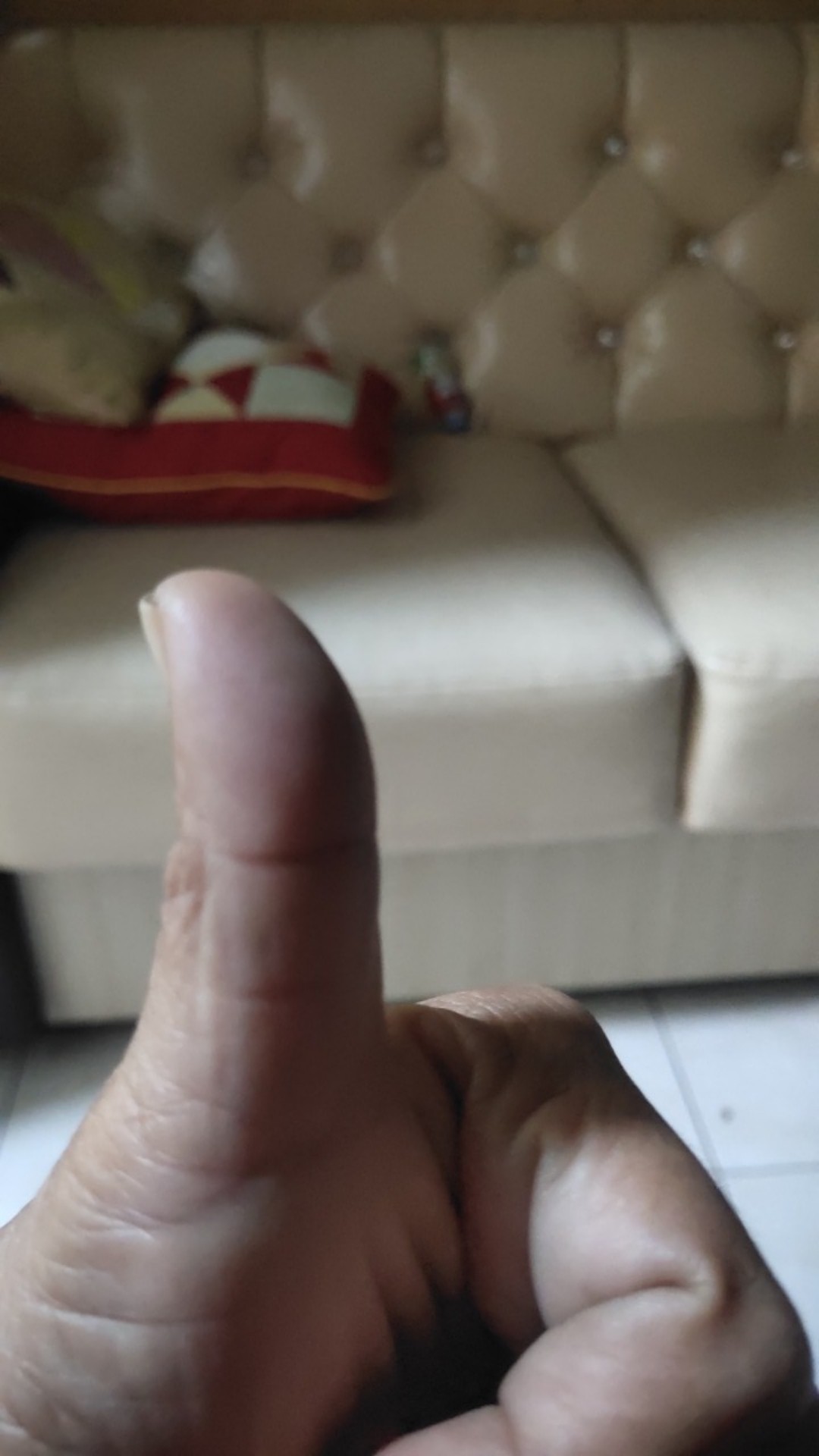 Pisau Dapur Vinox/ Vinox Slicing Knife 8 - 2218