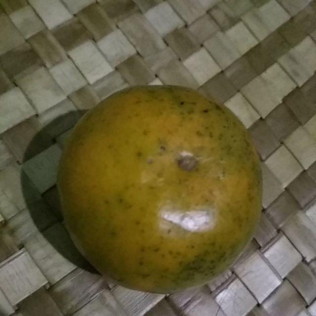 Sekatan (tanpa Loyang) Uk.30x10x4cm