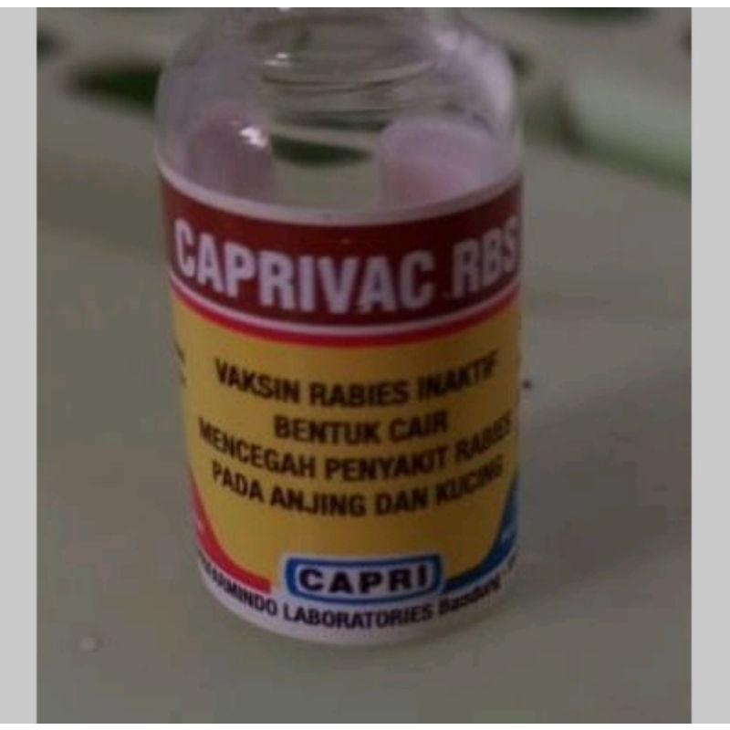 Vaksin rabies inaktif caprivac RBS untuk anjing kucing