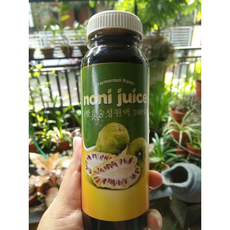 

Jus mengkudu/ sari mengkudu/ jus pace 250 ml
