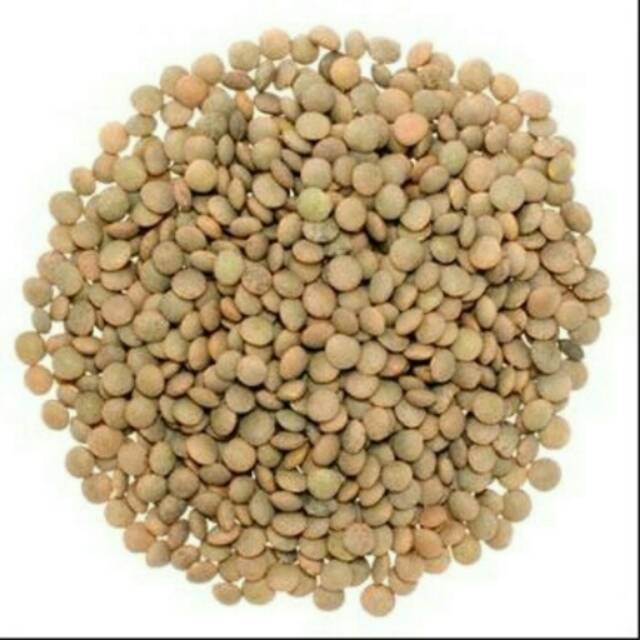 Natural Brown Lentils 100 Gr