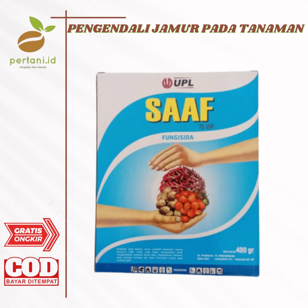 FUNGISIDA SAAF - PEMBASMI BUSUK DAUN
