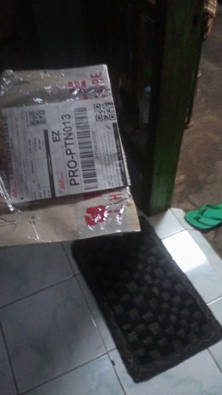 Benih Timun F1 - 15 Biji