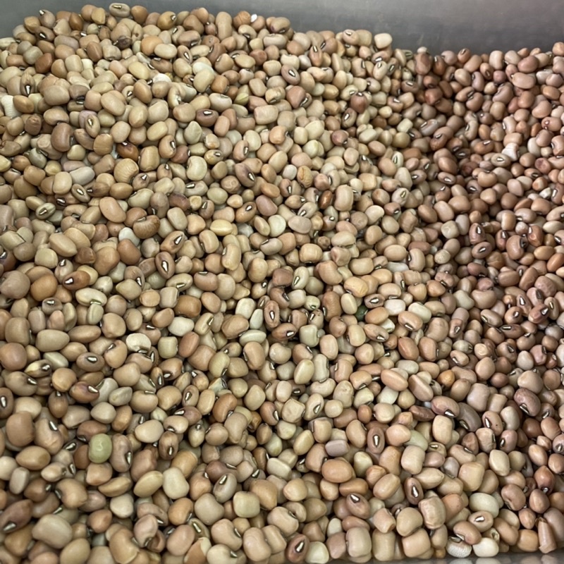 

Kacang Tunggak/ Kacang Tolo 500gr