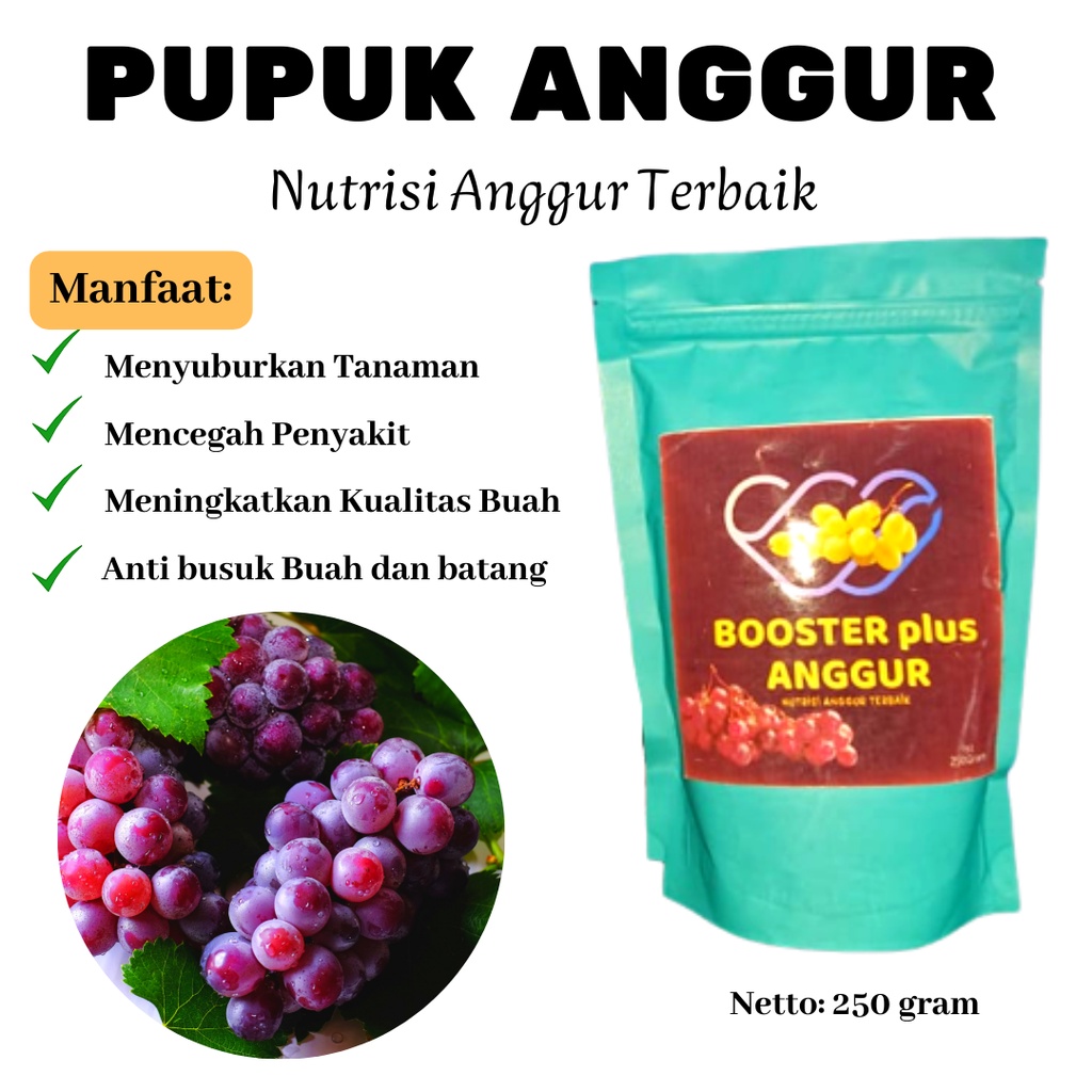 Bisa COD, Pupuk Anggur Agar Cepat Berbuah, Pupuk Anggur Agar Subur