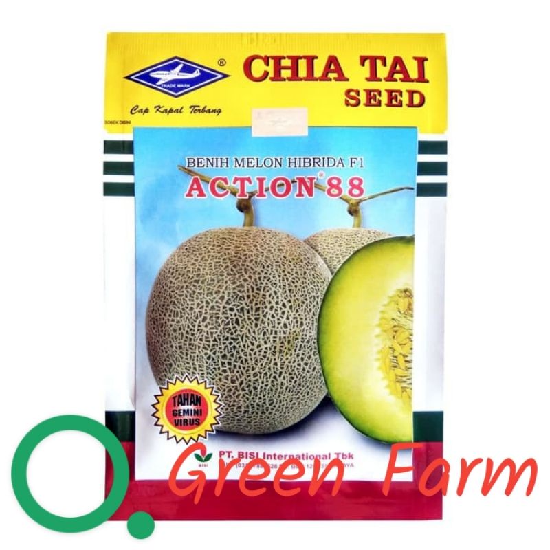 Melon Action 88 F1 Melon Hibrida Tahan Virus Kemasan 12gr 500 biji Original