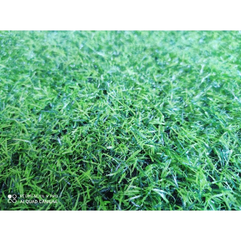 Karpet Rumput Sintetis 1x1 Meter Plastik
