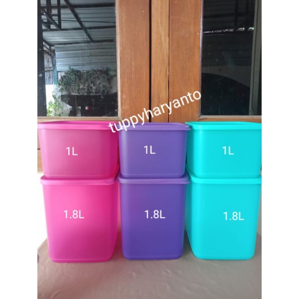 toples tropical fiesta summer medium set tupperware ( 2 pcs )