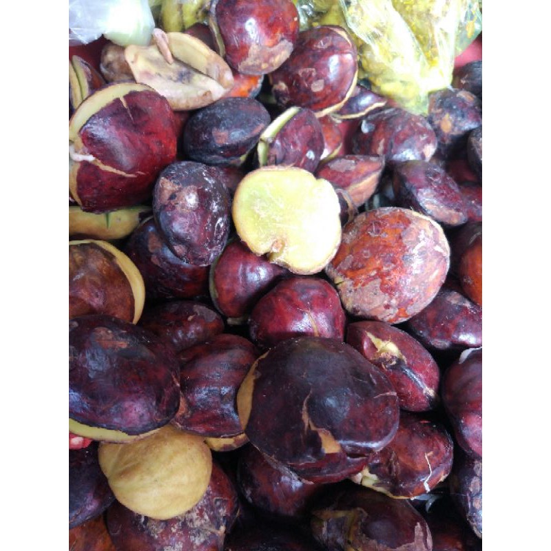 

Jengkol 500gr