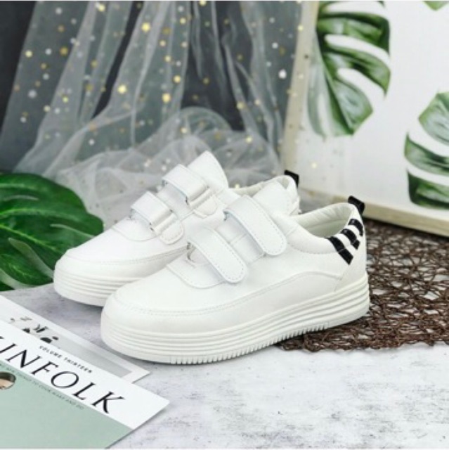 Sneakers wanita 8815 import realpict