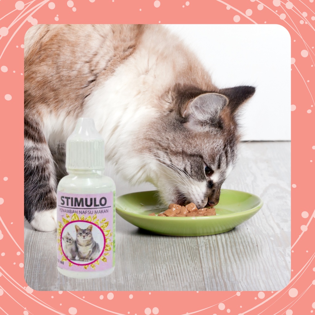 STIMULO vitamin penambah nafsu makan kucing | Joy Cathouse