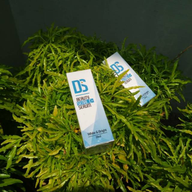 DS Beauty Senal C+ Serum