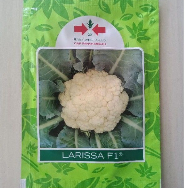 Benih Kembang Kol LARISSA F1 10 gr Bibit Brokoli Putih Bunga Brungkul LARISA Cap Panah Merah