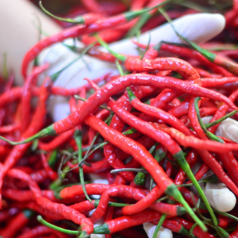 

Cabai / Cabe Merah keriting 100 Gram