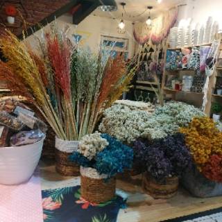 Bunga edelweis kering Shopee Indonesia Bunga edelweis kering Shopee Indonesia