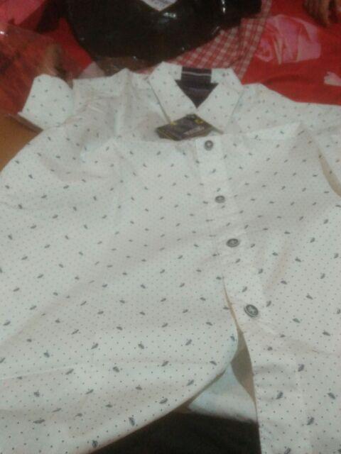 Kemeja Cowok Cressida - Rmfs.lf853-5a