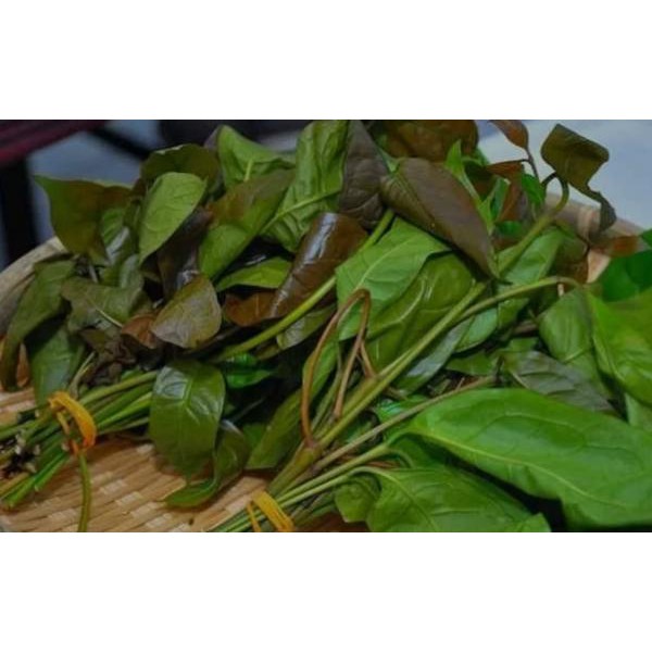 

DAUN MELINJO (PER 100 GRAM)