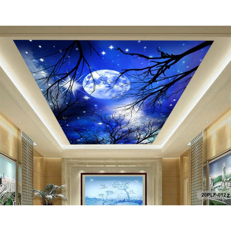 Wallpaper 3D Custom Plafon Awan Biru Bintang Bulan Purnama (20PLF-012)