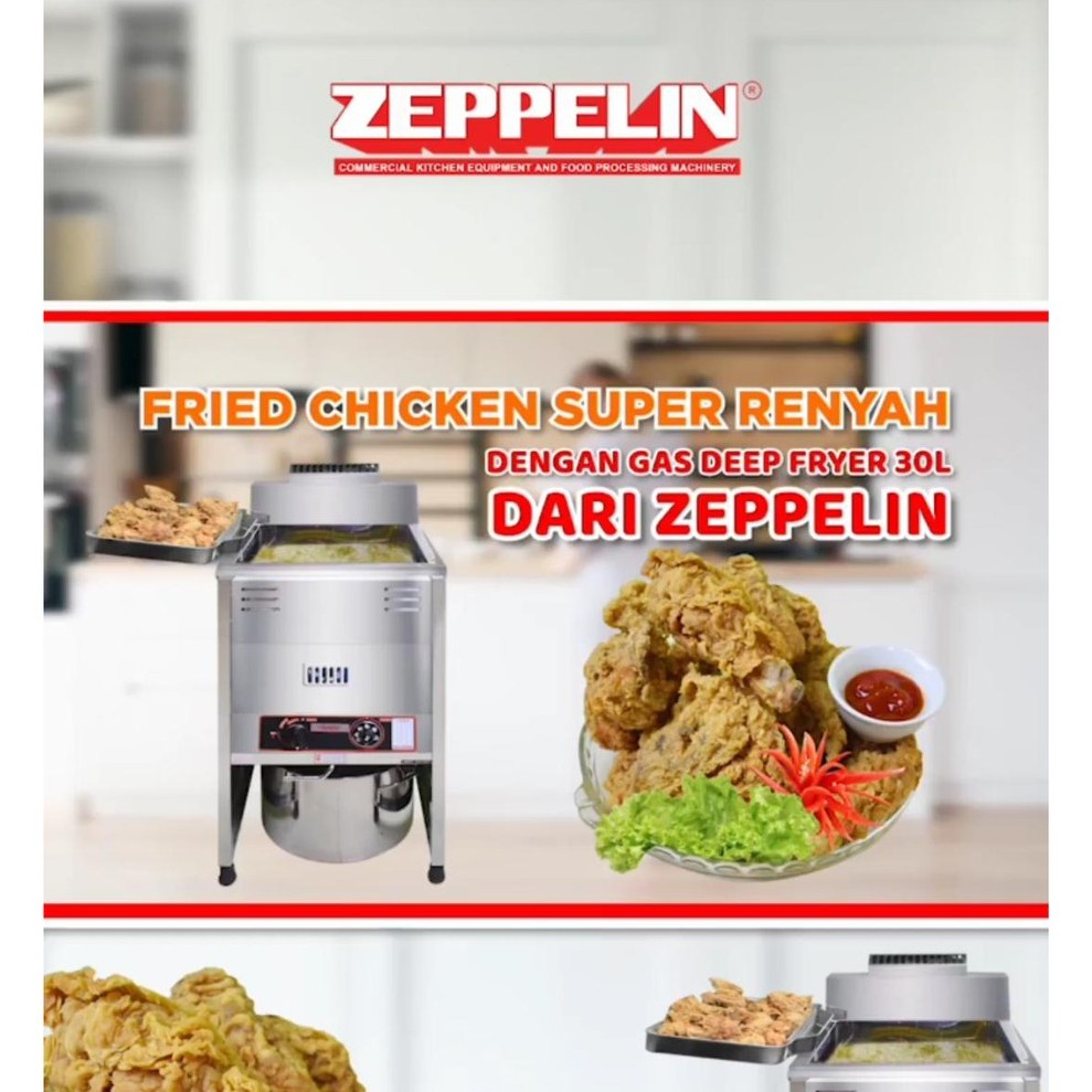 Gas Deep Fryer 30 Liter