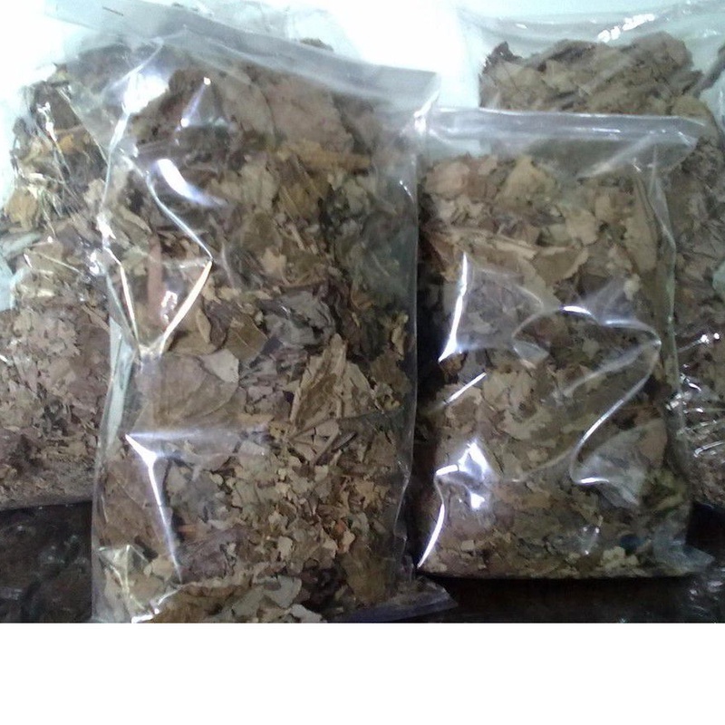 

500gr|1kg Daun Jati Belanda kering