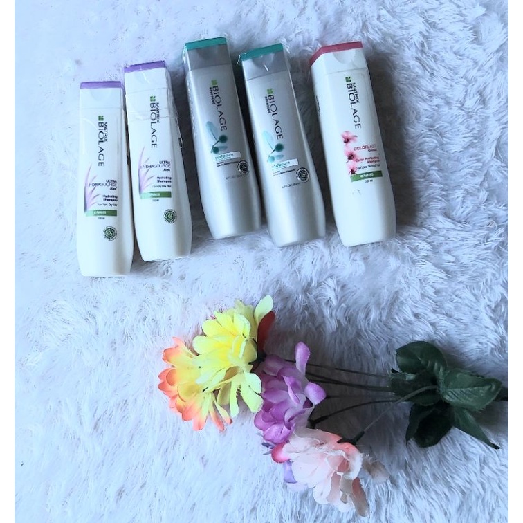 Matrix Biolage Shampoo