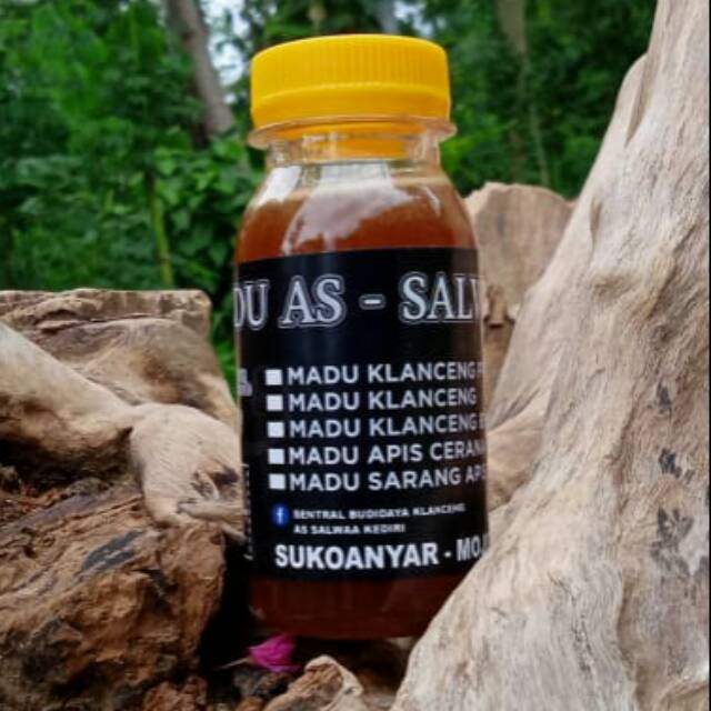 

Madu klanceng liar