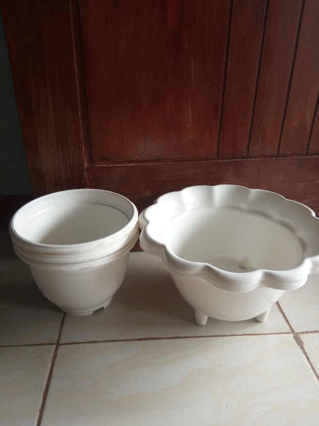 POT PUTIH BESAR 30 POT MATAHARI POT KAKI Shopee POT PUTIH BESAR 30 POT MATAHARI POT KAKI Shopee