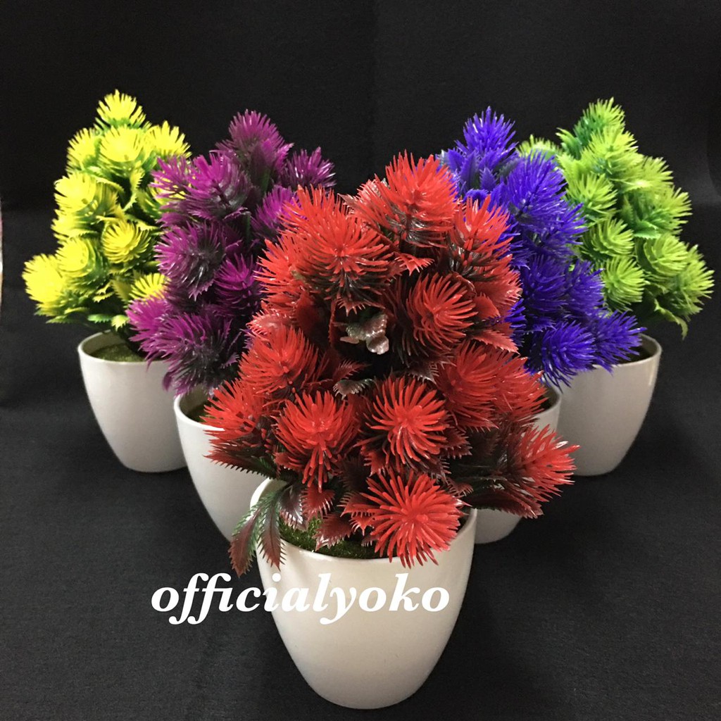 Pot Bunga  Hias Tanaman Bunga  Plastik  Import Dekorasi  