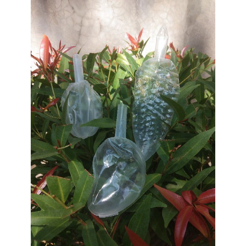 

Plastik es Bentuk buah dan botol isi 50